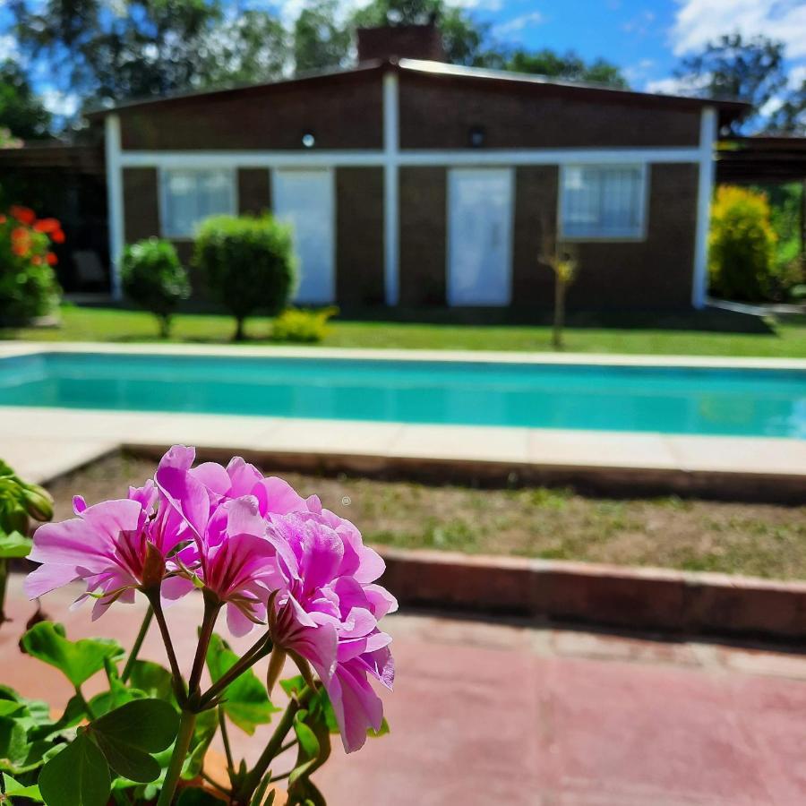 La Algarroba Apartment