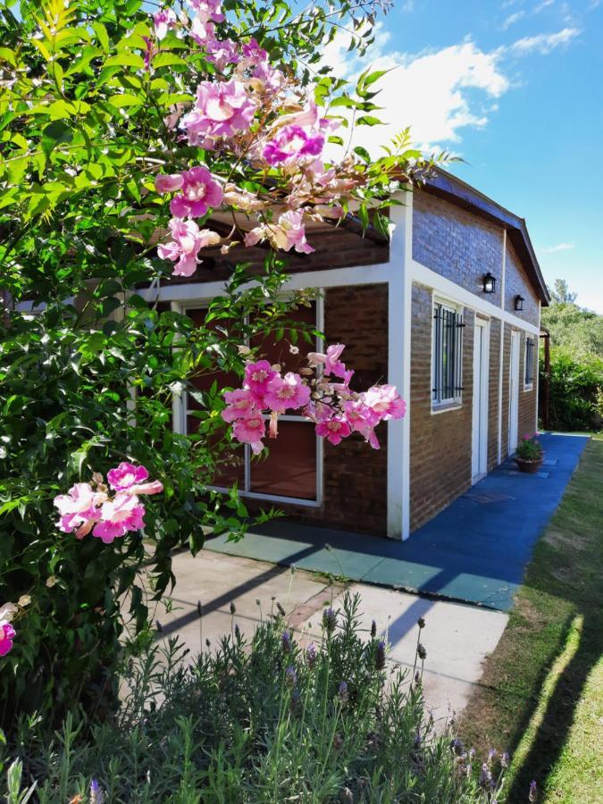 Apartamento La Algarroba *