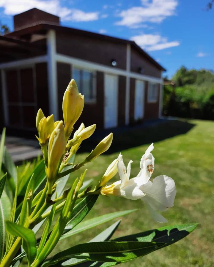 La Algarroba Apartamento